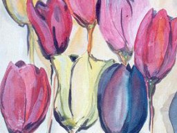 Tulpen