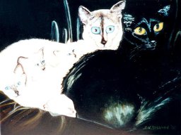 Katzenfamilie
