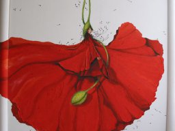 Kenzo-Blume