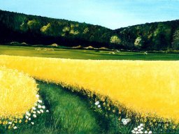 Rapsfeld